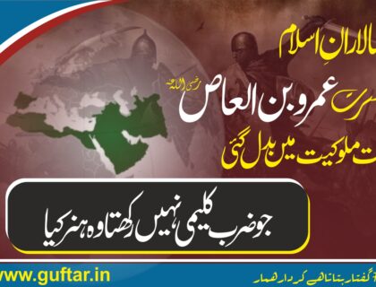 حضرت عمروبن العاص تاریخ، سیاست اور سیاسی تدبر خلافت ملوکیت میں کیسے تبدیل ہوئی خلافت اور ملوکیت